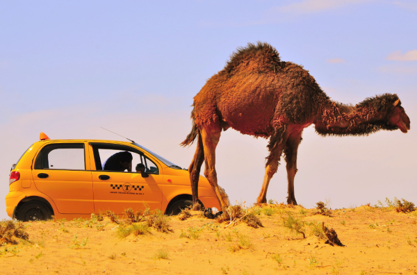 Airport Transfer – Fast, Easy & Stress-Free! - Image 2